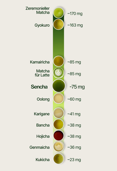6ad63c3dcde13_caffeine_chart_sencha_de.webp