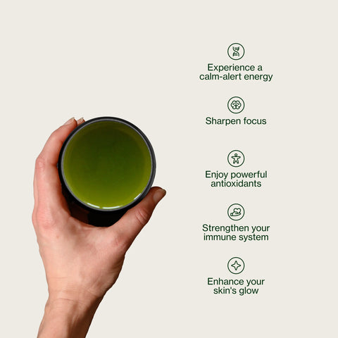 Sencha Okumidori Grüner Tee