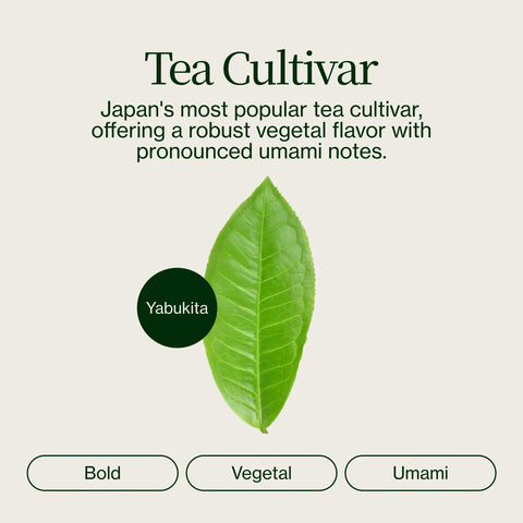 Matcha Genmaicha Shizuoka