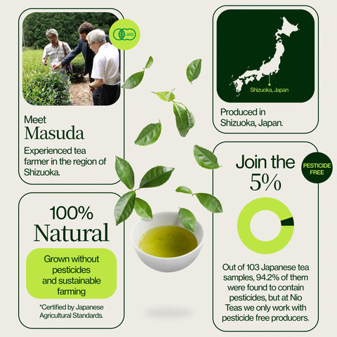 Genmaicha Popcorn Grüner Tee
