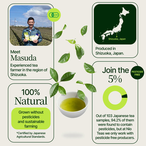 Genmaicha Popcorn Grüner Tee
