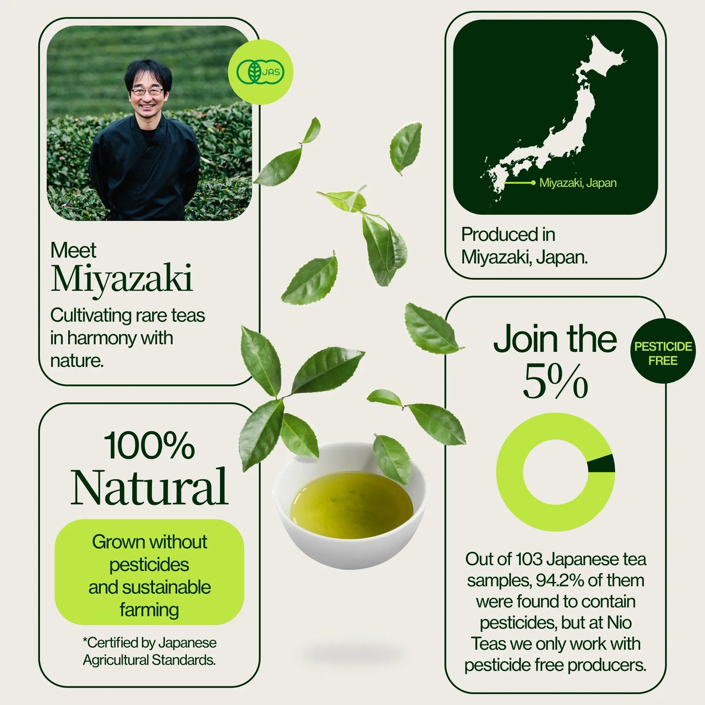 Miyazaki Hochgebirgs-Oolong-Tee