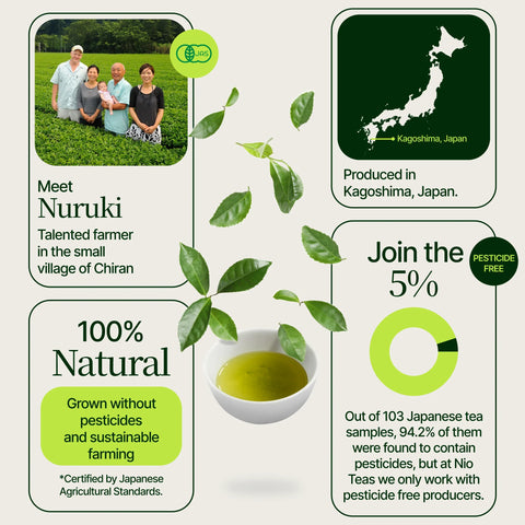 Premium-Matcha Chiran Grüner Tee
