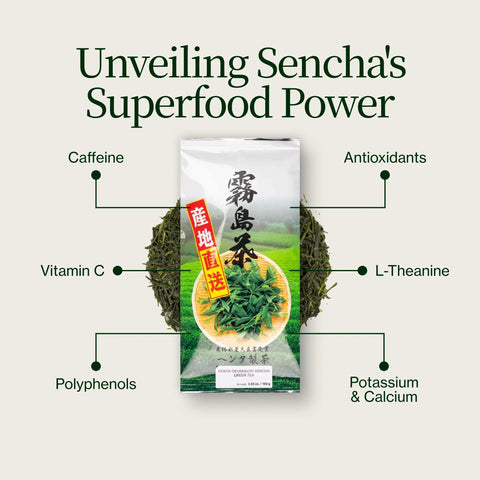 Sencha Okumidori Grüner Tee