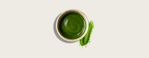 A top-down view of a small beige bowl filled with smooth green puree, with a few green herb sprigs beside it on a light gray background.