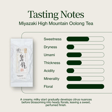 Miyazaki Hochgebirgs- Oolong Tee