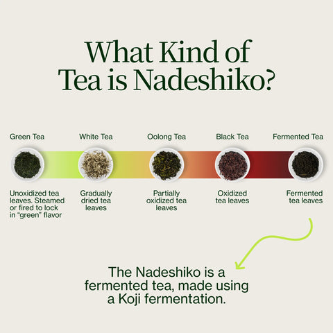 Nadeshiko Rose Japanischer fermentierter Tee