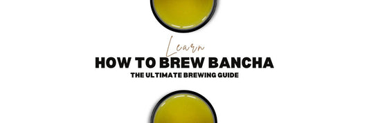 How to Brew Bancha the Ultimate Brewing Guide