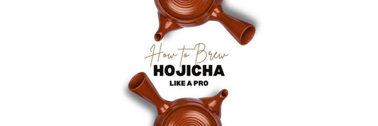 How to Brew Hojicha like a Japanese Tea Master
