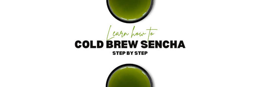 How to Cold Brew Sencha Tea Step by Step