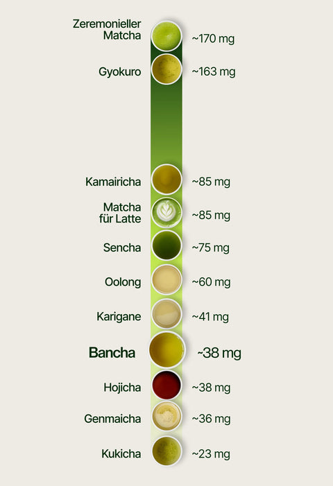 6ad63c3b949ed_caffeine_chart_bancha_de.webp