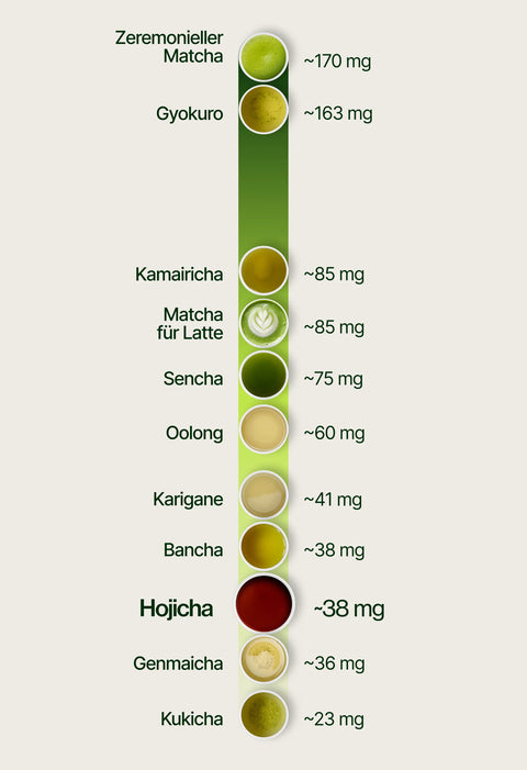 6ad63c3cc764d_caffeine_chart_hojicha_de.webp