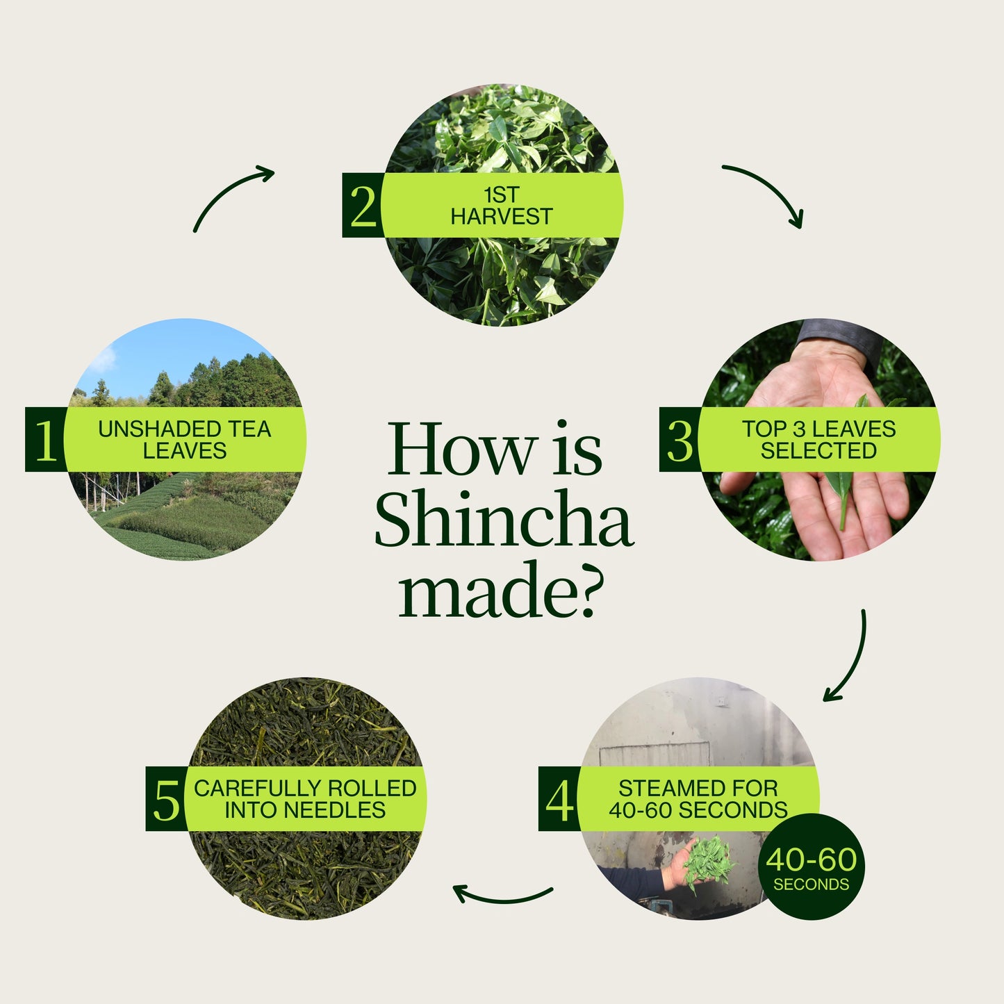 Shincha Shizuku Chiran 2026 mit Matcha-Pulver