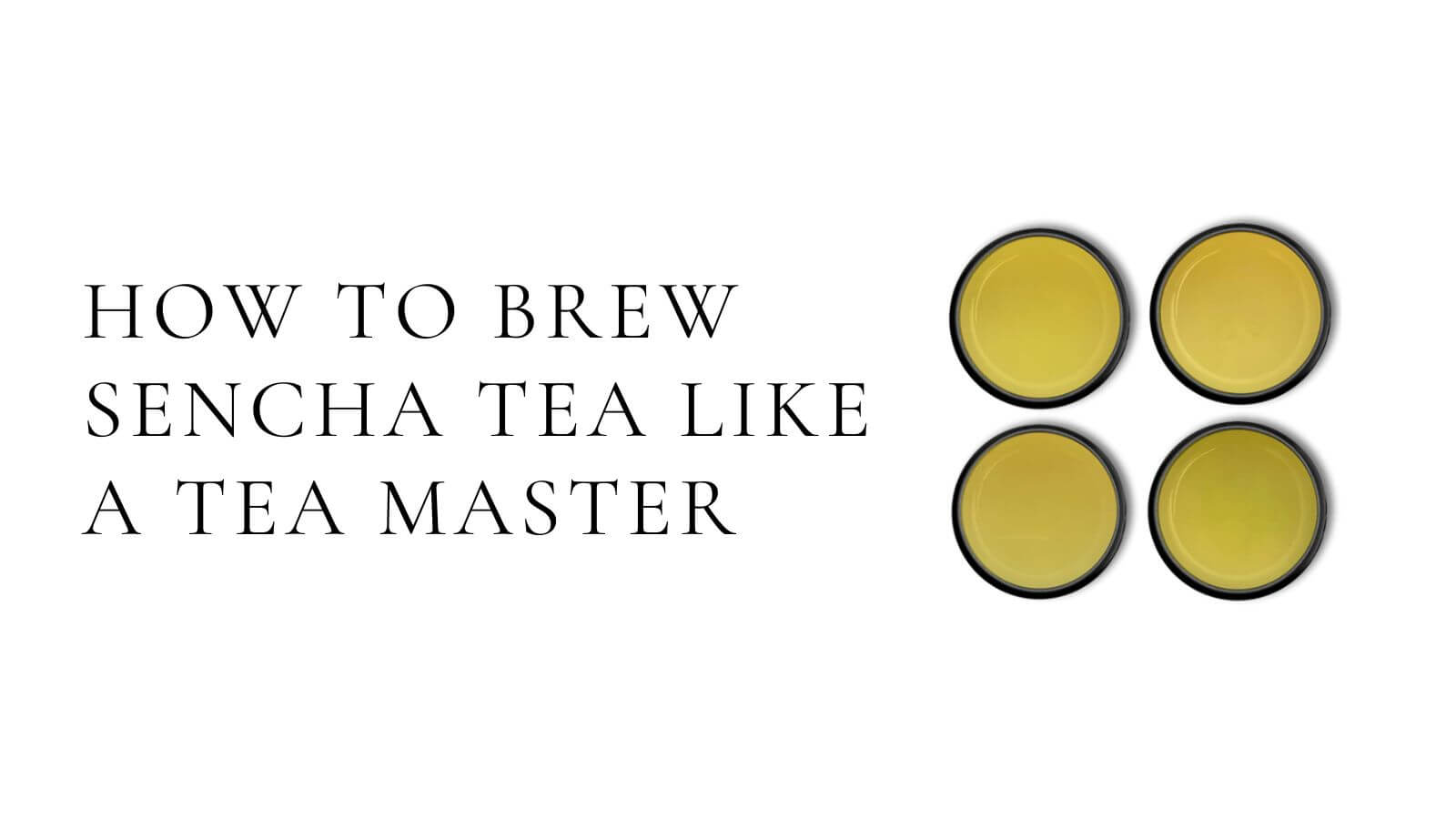 Video laden: Wie man Sencha-Tee wie ein Teemeister zubereitet