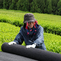 Katagi farmer outdoors in a tea plantation wearing a dark bucket hat, blue rain jacket, white gloves, and a face mask, while handling a large roll of black textured material.