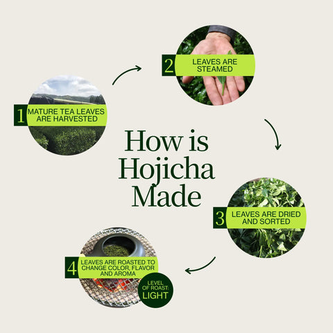 Gerösteter Hojicha -Grüntee Noike