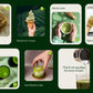 Matcha-Tee-Sampler (21er-Pack) 