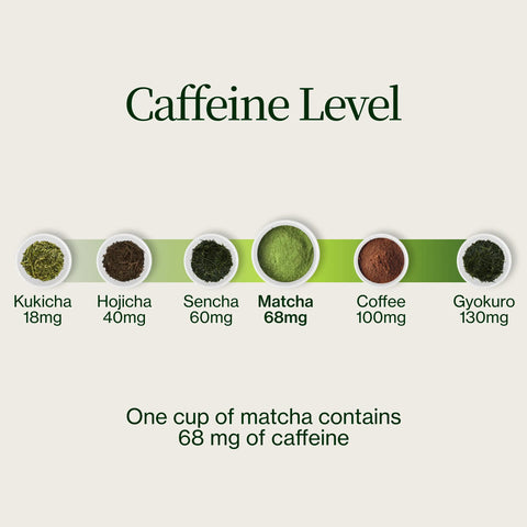 Matcha Adventskalender 2026