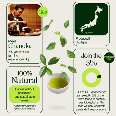 Uji Matcha Chanoka Okumidori