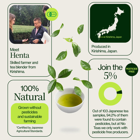 Sencha Okumidori Grüner Tee