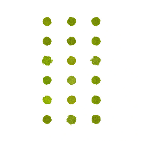 Matcha Sampler 18-Pack