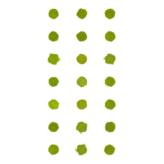 Matcha-Tee-Sampler (21er-Pack)