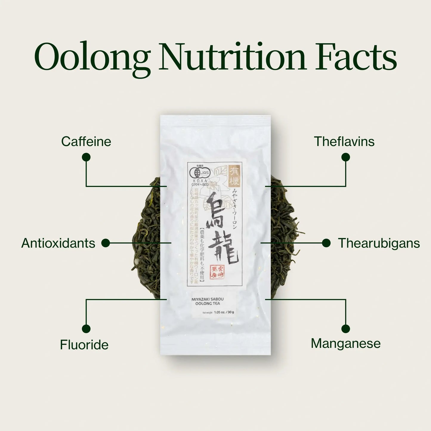 Miyazaki Hochgebirgs-Oolong-Tee