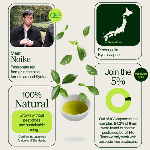 Gerösteter Hojicha -Grüntee Noike