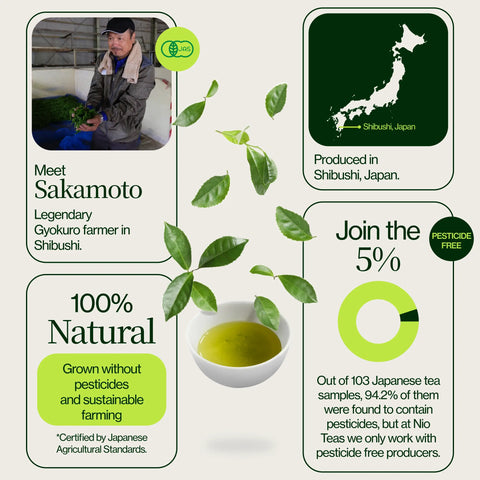 Gyokuro Sou Sakamoto