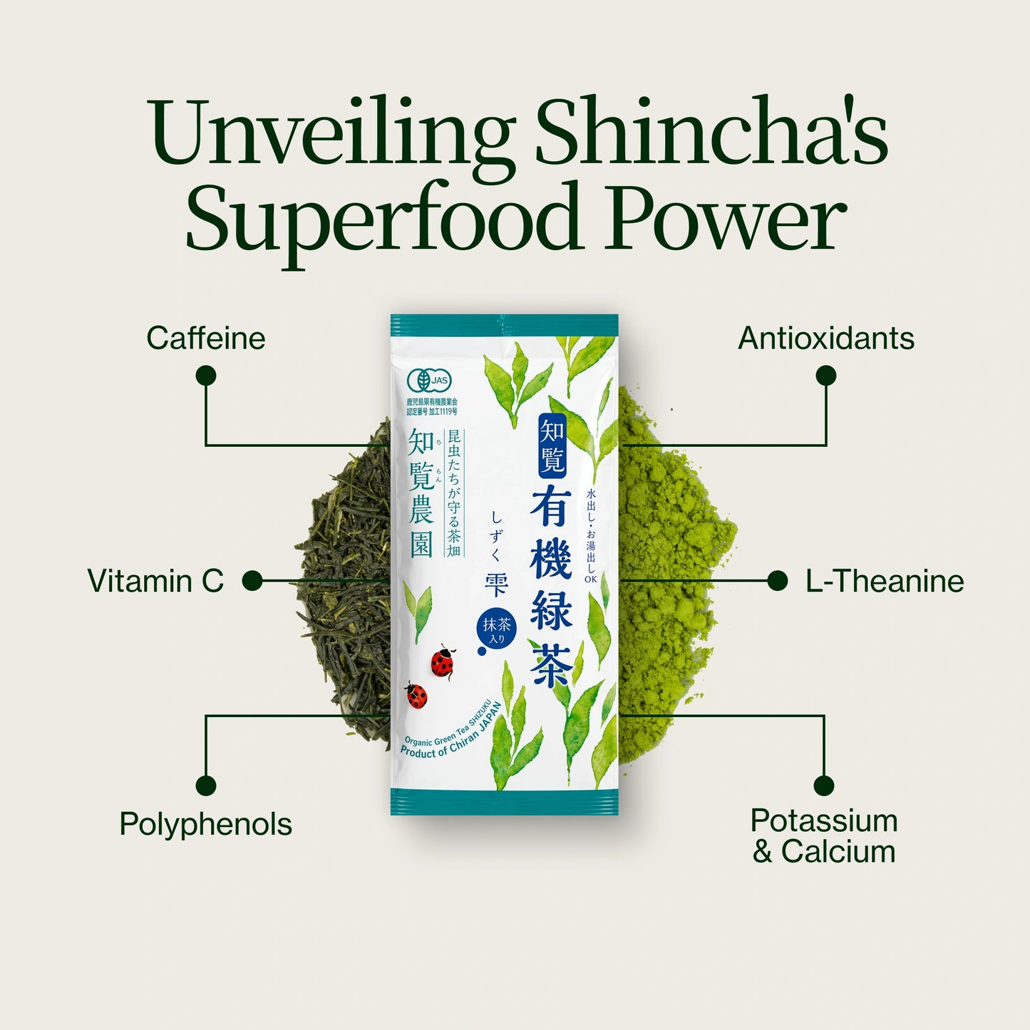 Shincha Shizuku Chiran 2026 mit Matcha-Pulver