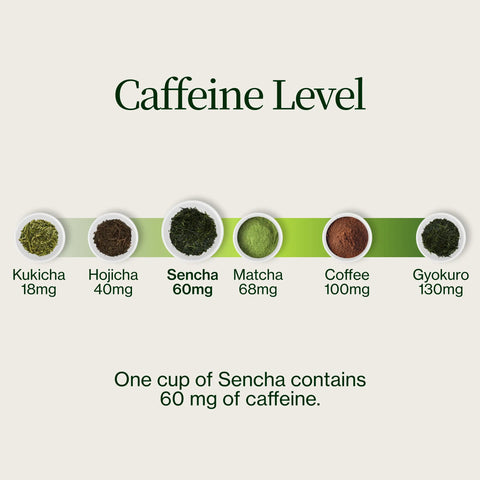 Sencha Kasugaen Asatsuyu