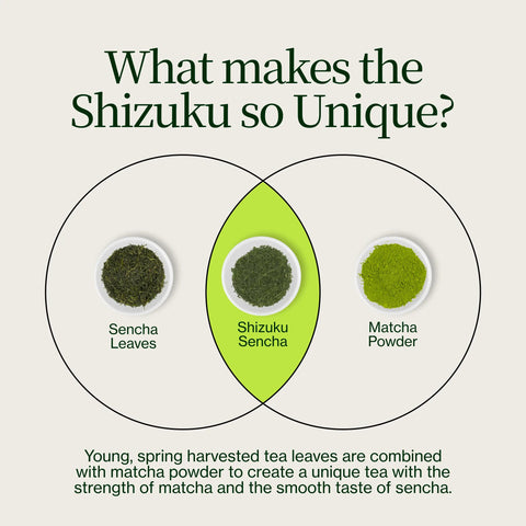 Sencha Shizuku mit Matcha-Pulver