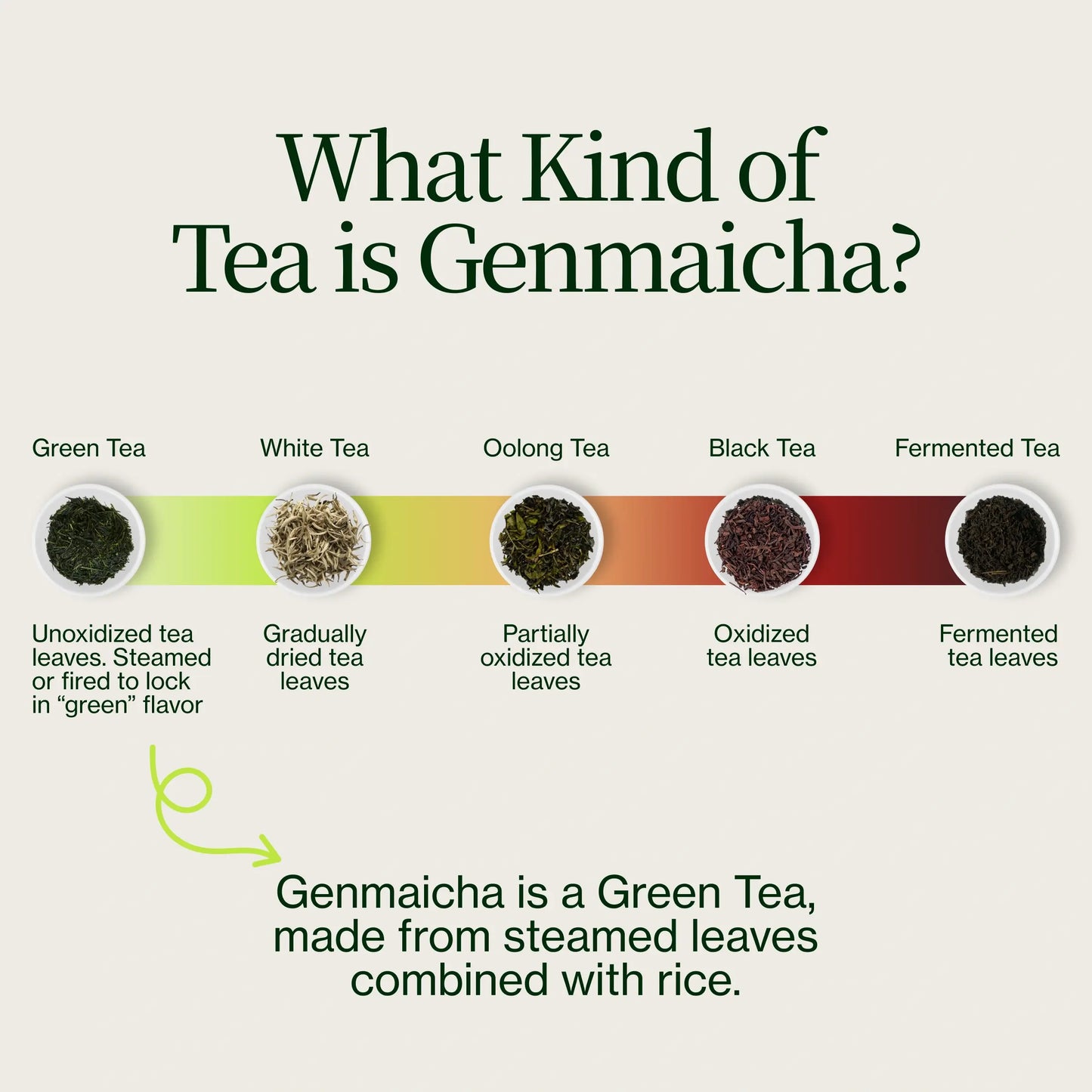 Genmaicha-Grüntee mit geröstetem Reis