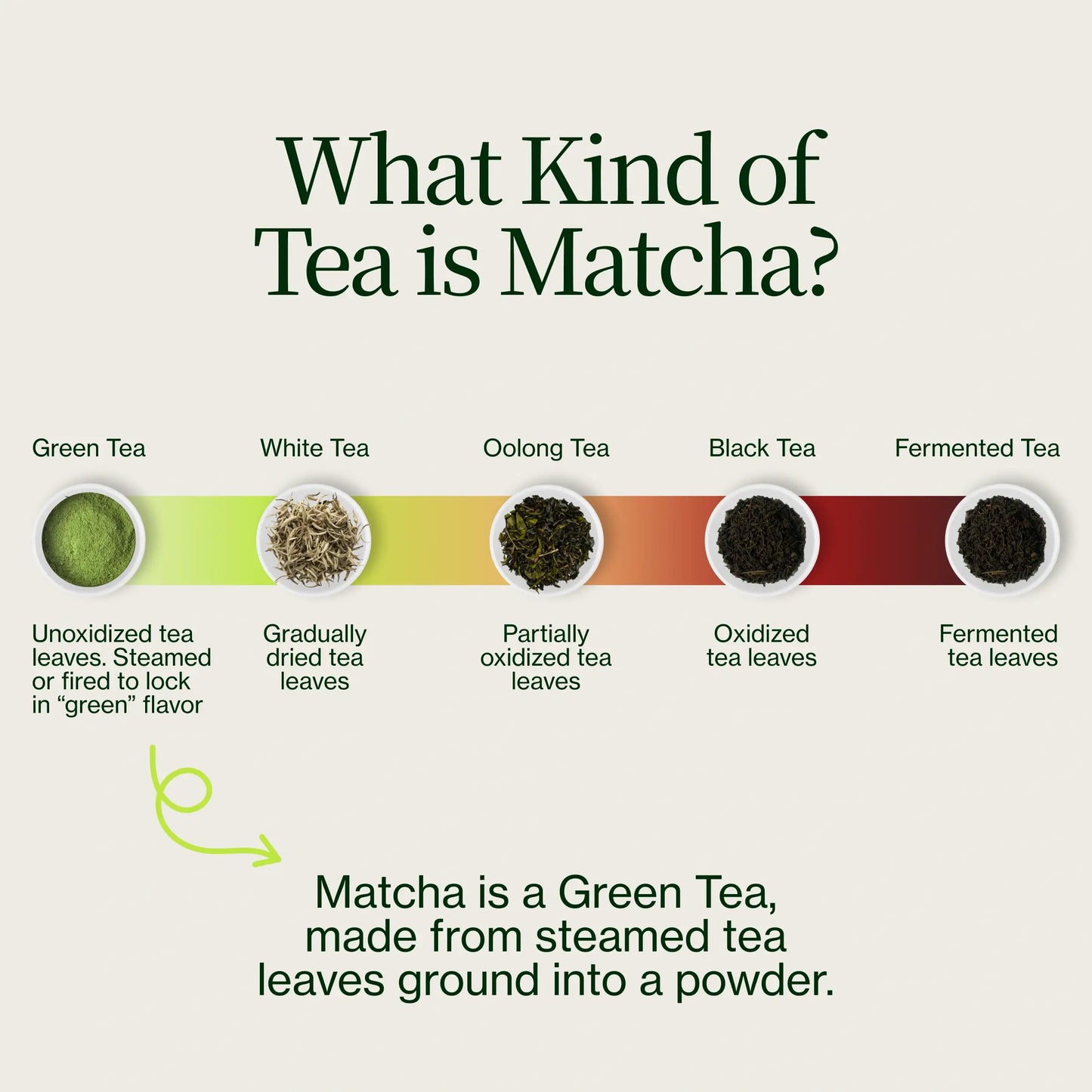 Matcha-Tee-Sampler (21er-Pack) 