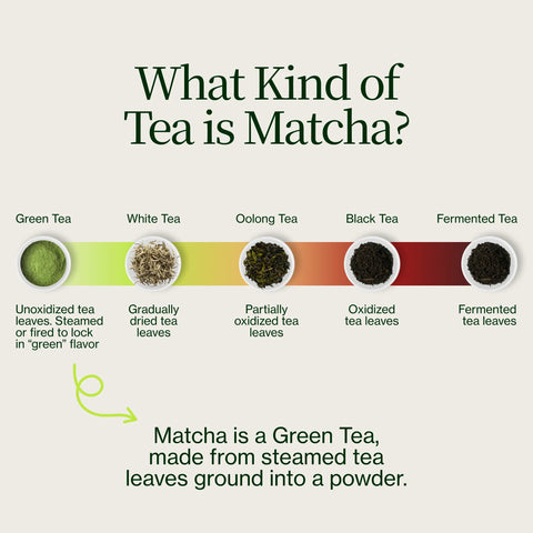 Matcha Adventskalender 2026