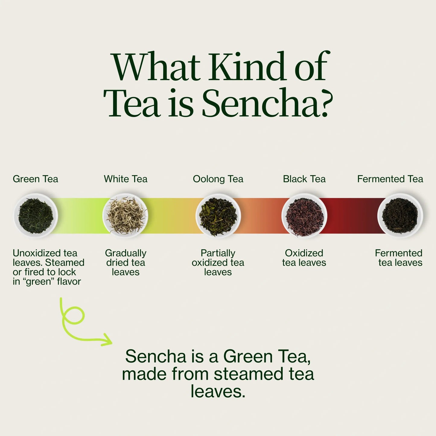 Sencha Henta Kirishima Tee