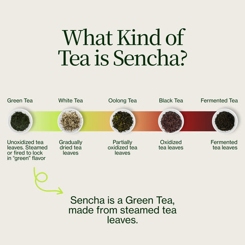 Goldener Sencha Yabukita Kasugaen